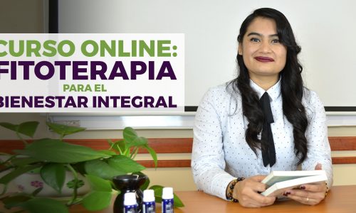 Curso Online: Fitoterapia para el Bienestar Integral