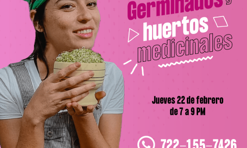 Curso Online: Germinados y huertos medicinales