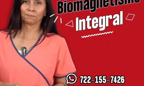 Curso Online: Biomagnetismo