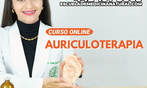 Miniatura del curso