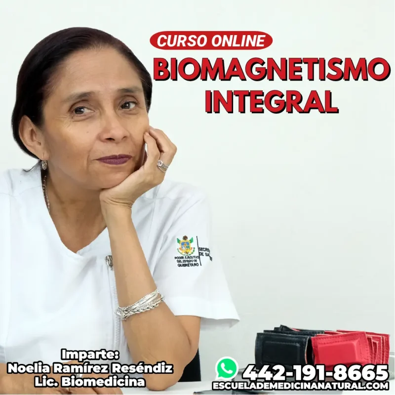 Curso Online: Biomagnetismo Integral