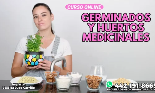 Miniatura del curso